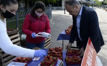 A friss és ízletes magyar földieper a legjobb választás a családoknak